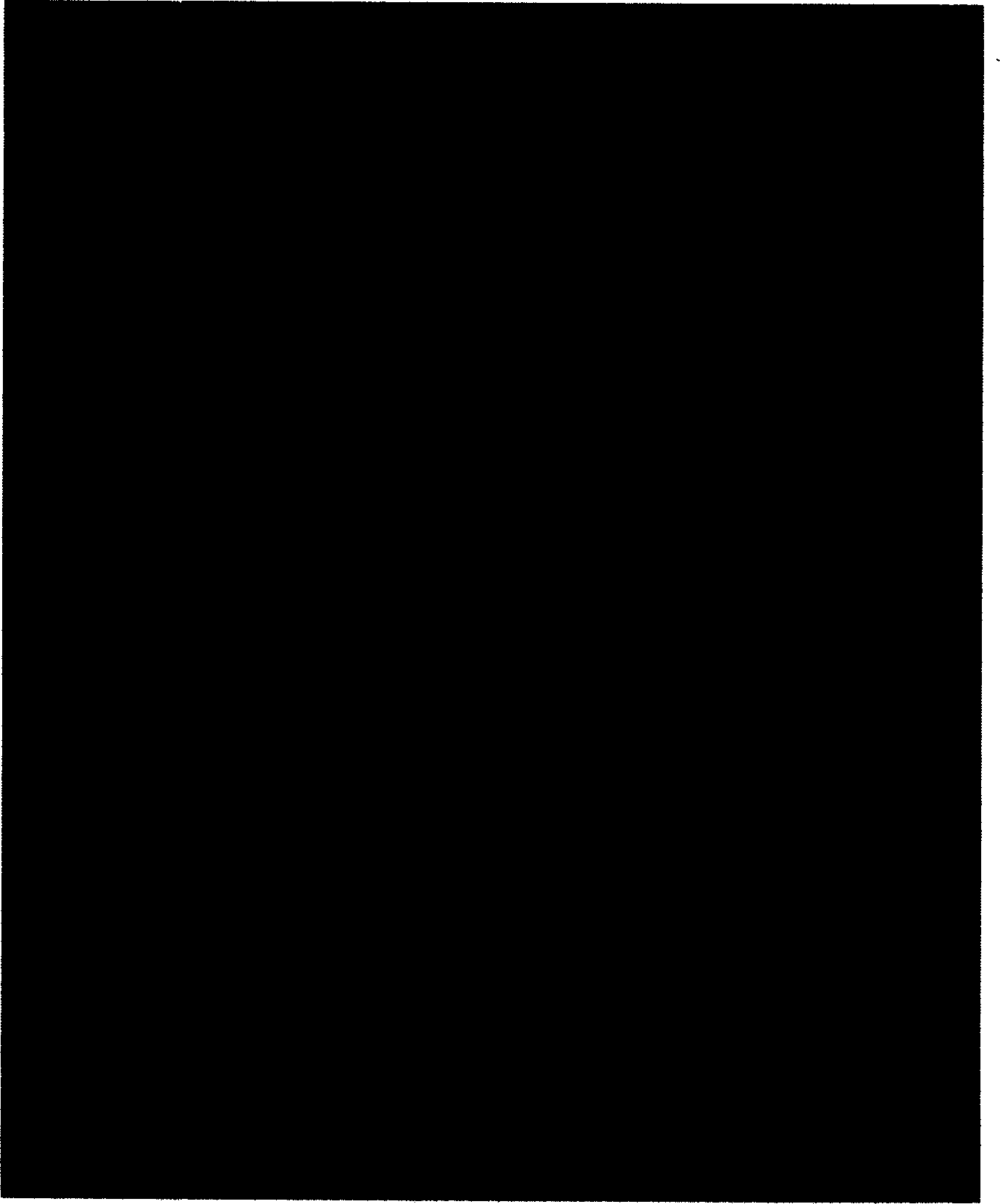 Method for on-line modifying chemical fiber surface property