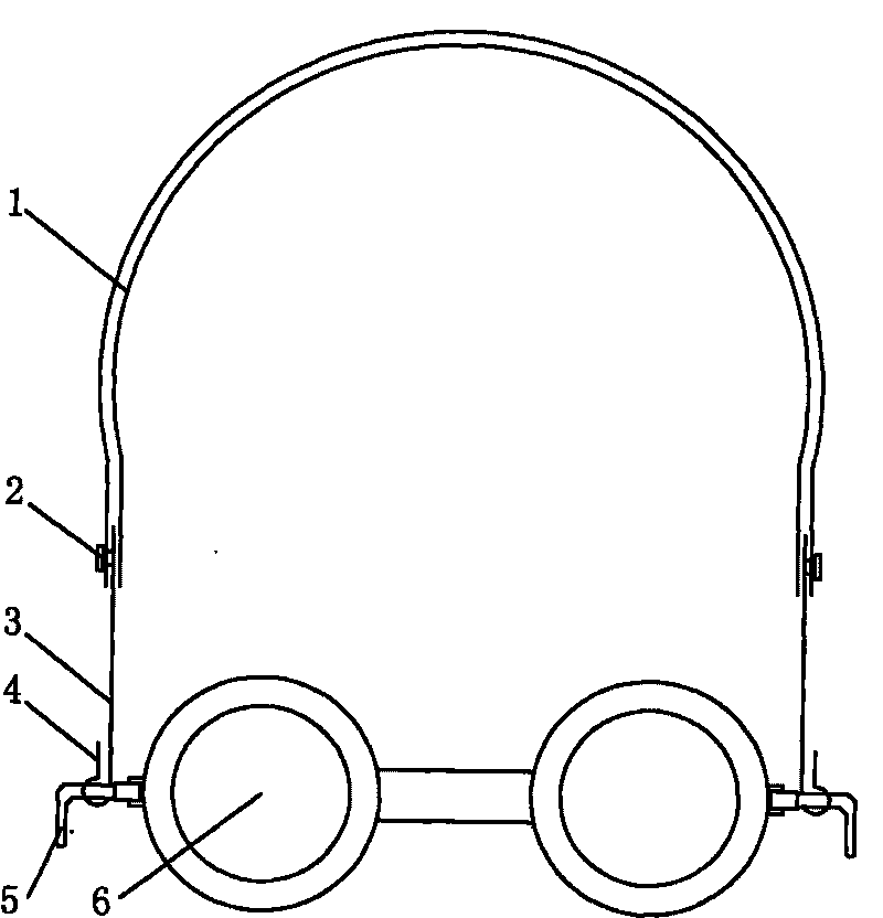 Head glasses