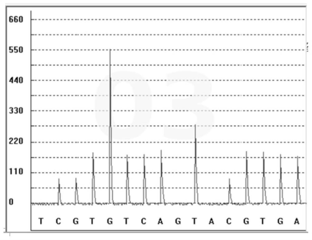 Detection kit of paclitaxel metabolism marker and detection method and application thereof