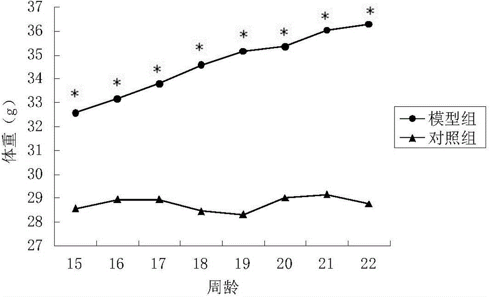 Purified feed used for constructing nutritional obesity animal model as well as preparation method and application of purified feed