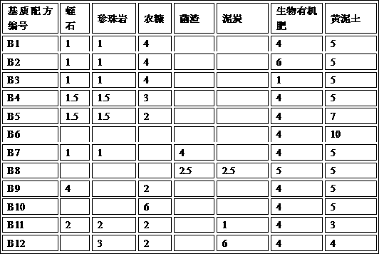 Sweet persimmon container seedling culture substrate and seedling culture method thereof