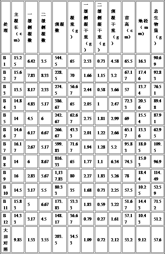 Sweet persimmon container seedling culture substrate and seedling culture method thereof