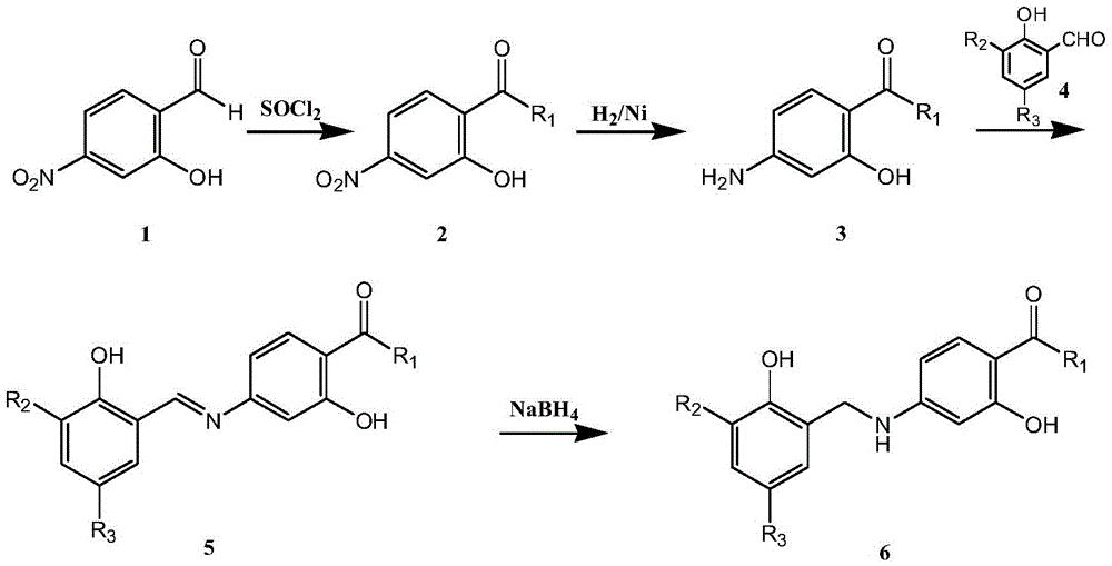 Amide derivatives of N-benzyl substituted aminosalicylic acid and 4-aminobutyric acid and their medicinal uses