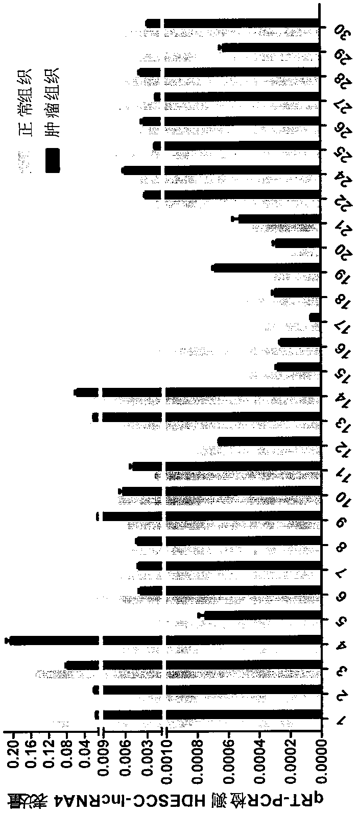 Detection and application of a long non-coding RNA