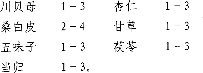 Traditional Chinese medicine for treating bronchitis