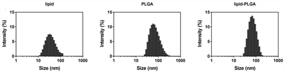 Micro-fluidic chip as well as construction method and application thereof