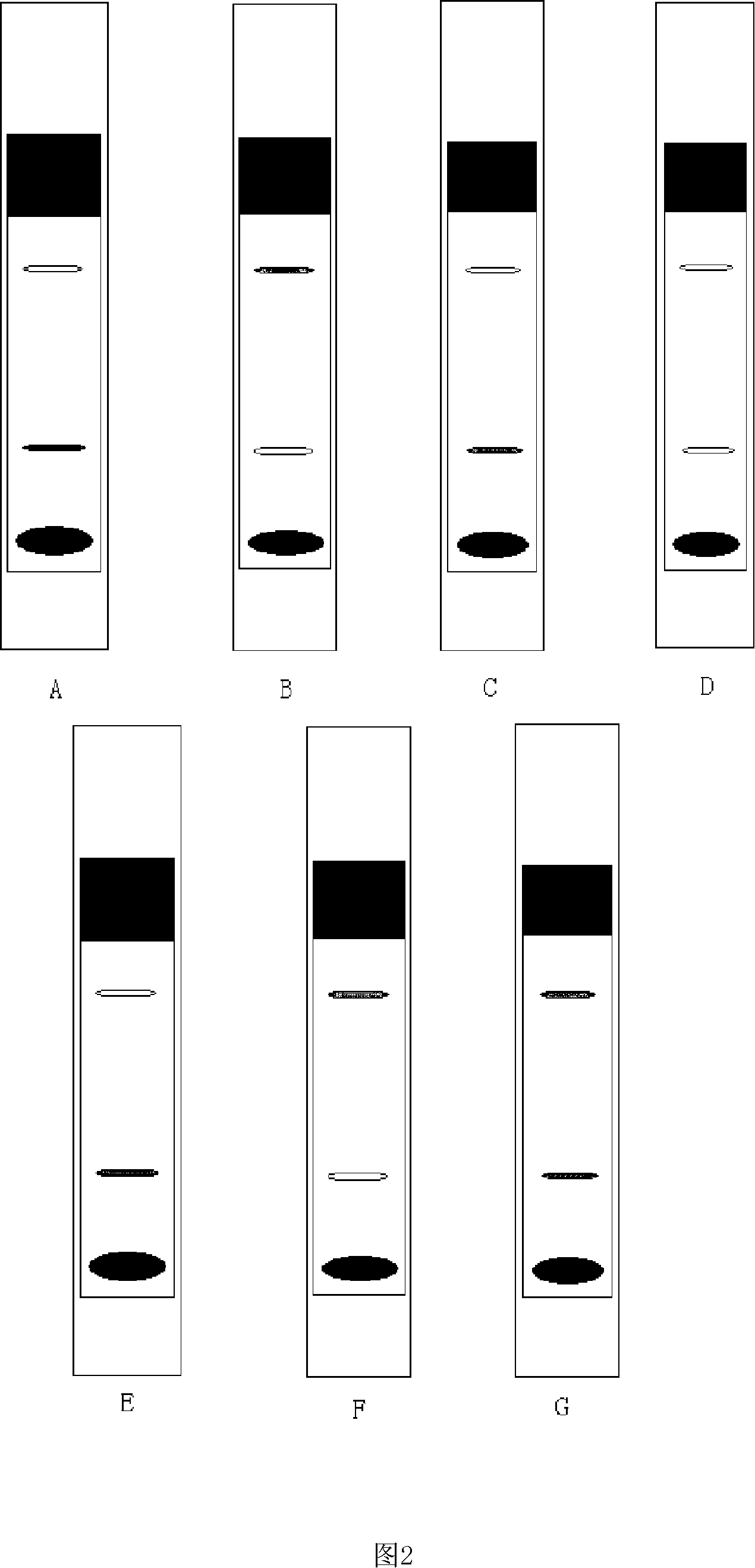 Colloid selenium test paper of semi-quantitative determination oxidized low density lipoprotein