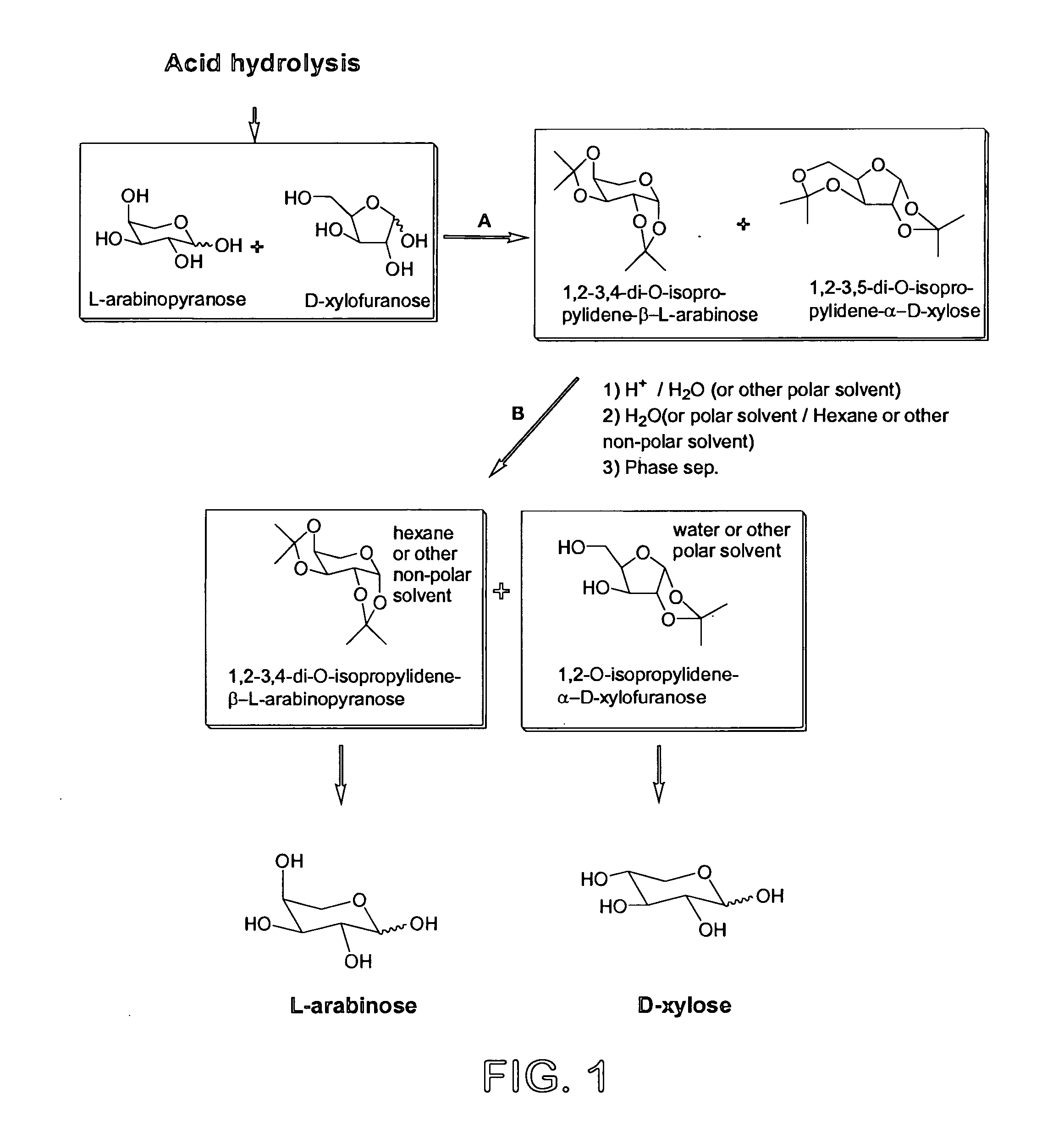 Process for the preparation and separation of arabinose and xylose from a mixture of saccharides