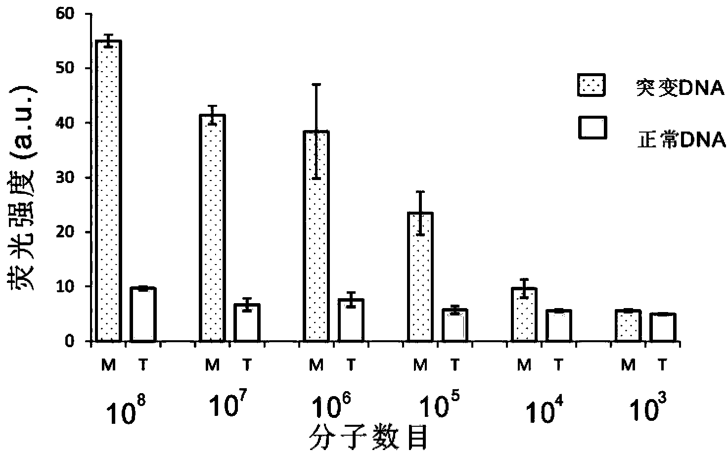 Detection method for single nucleotide polymorphism