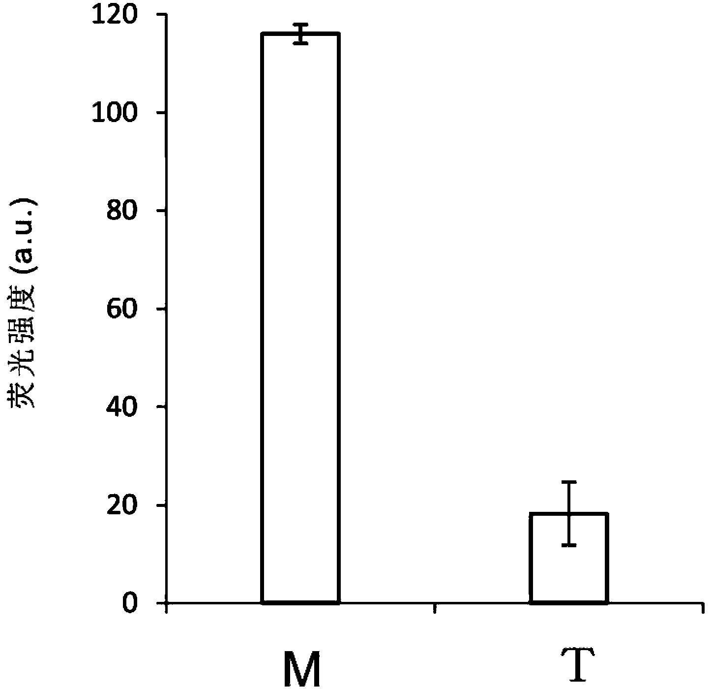 Detection method for single nucleotide polymorphism