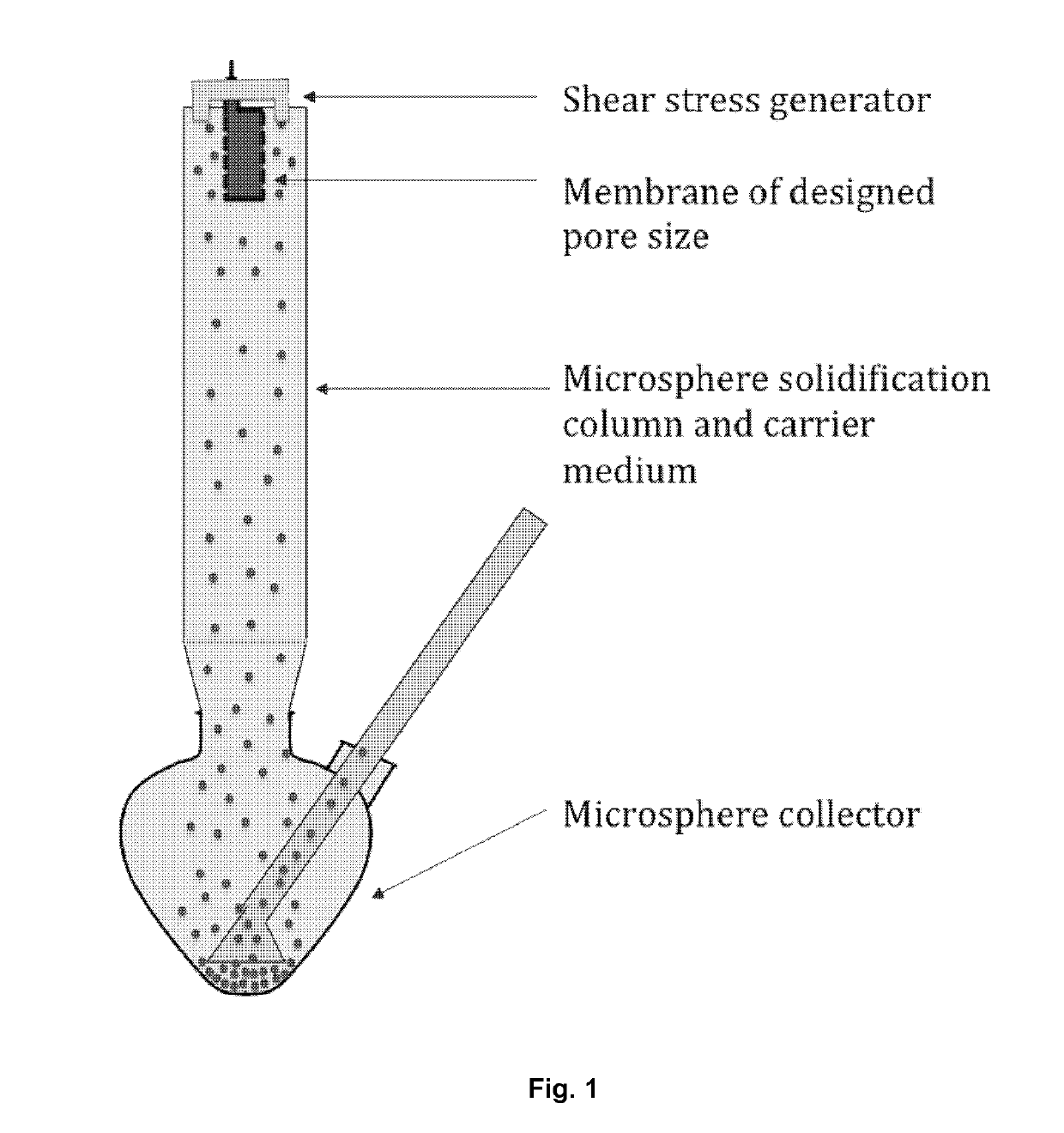 Process for producing polymeric microspheres