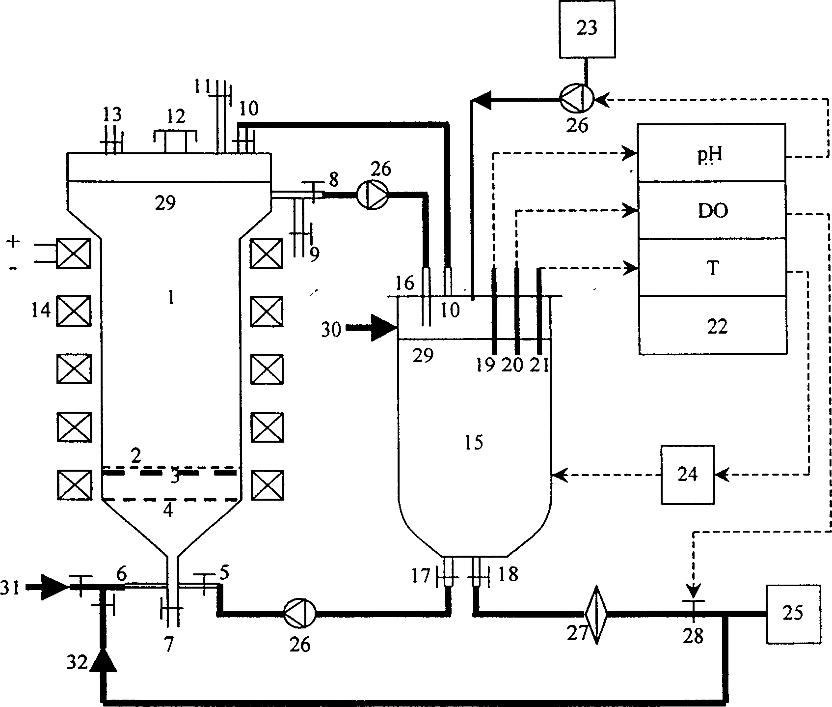 Method for culturing anchorage dependent animal cell to produce virus by using magnetic stable fluidized bed