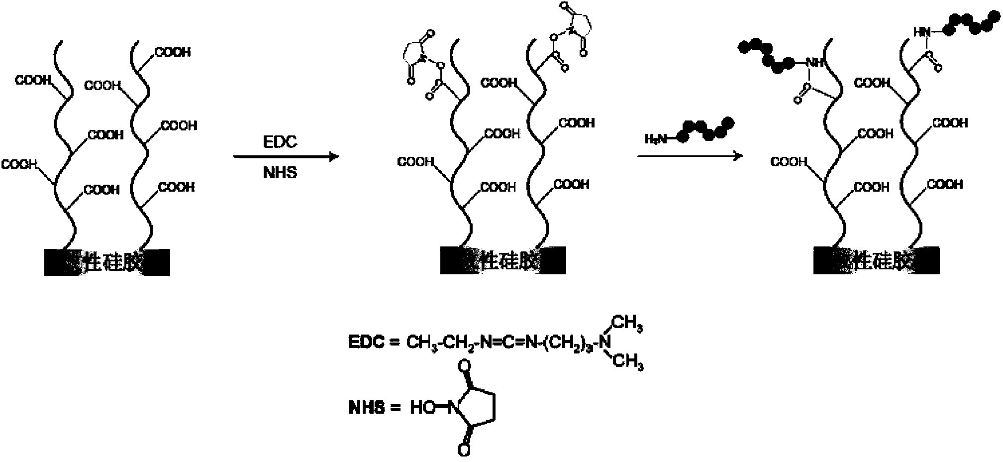 Polypeptide, detector containing the polypeptide, and detection kit containing the polypeptide