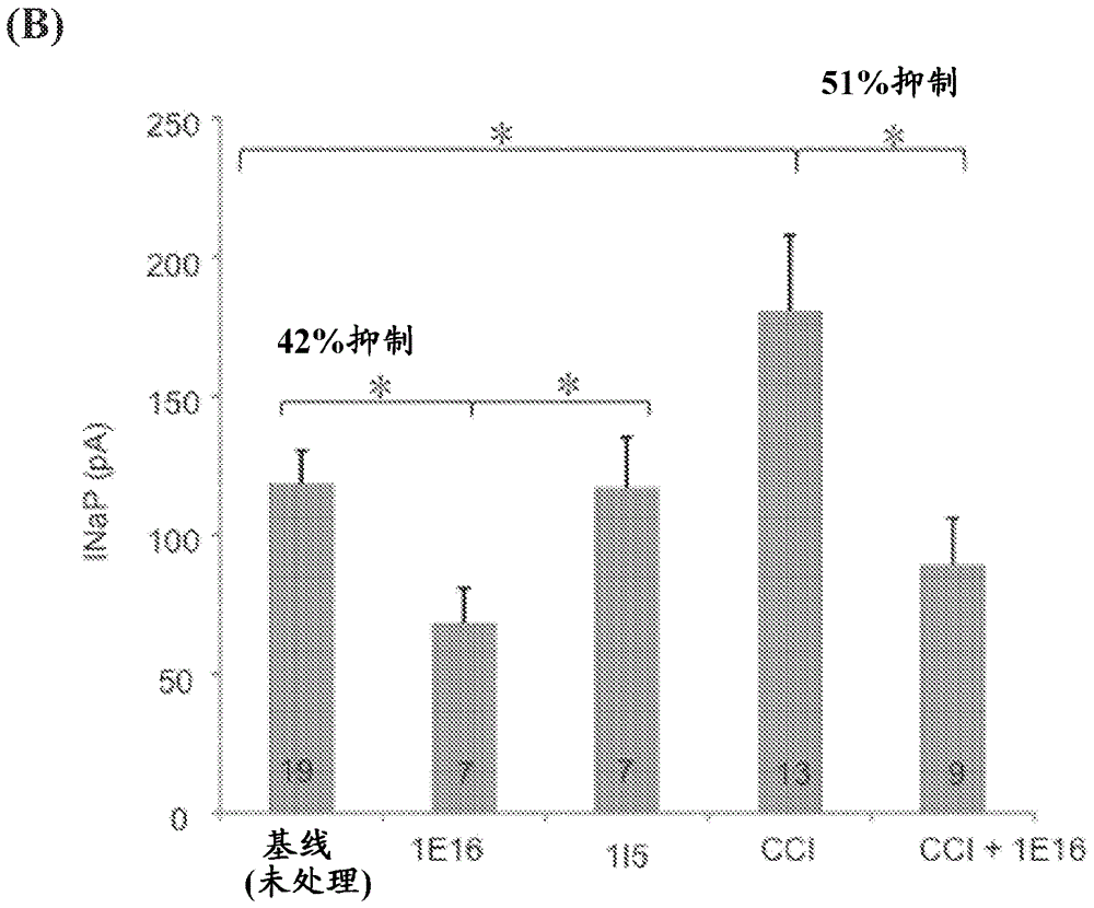 Nav1.7 antibodies and methods of using the same