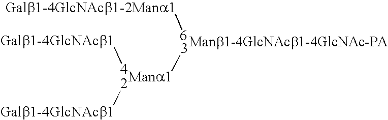 Novel n-acetylglucosamine transferase, nucleic acid encoding the same and use thereof in diagnosing cancer and/or tumor