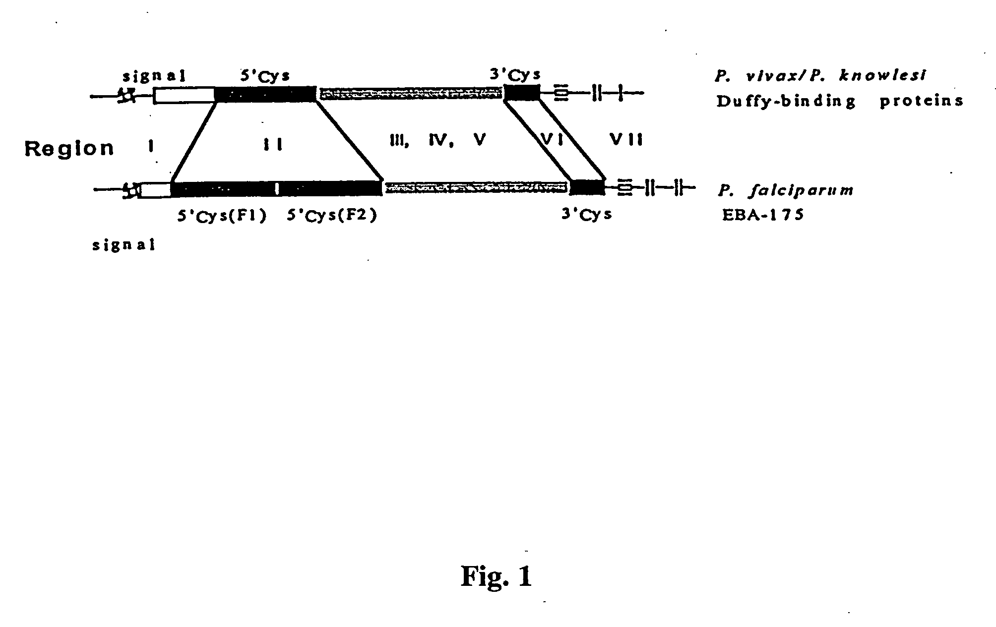 Anti-plasmodium compositions and methods of use