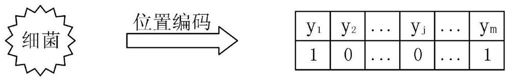 A distribution center site selection method based on bacterial foraging optimization algorithm