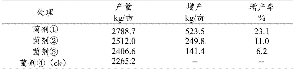 Amino acid bio-organic fertilizer and its preparation method and application