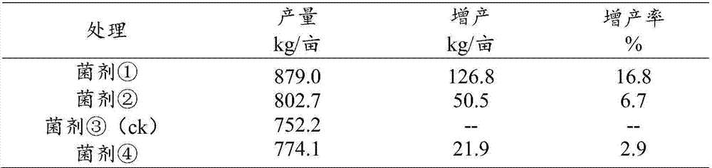 Amino acid bio-organic fertilizer and its preparation method and application