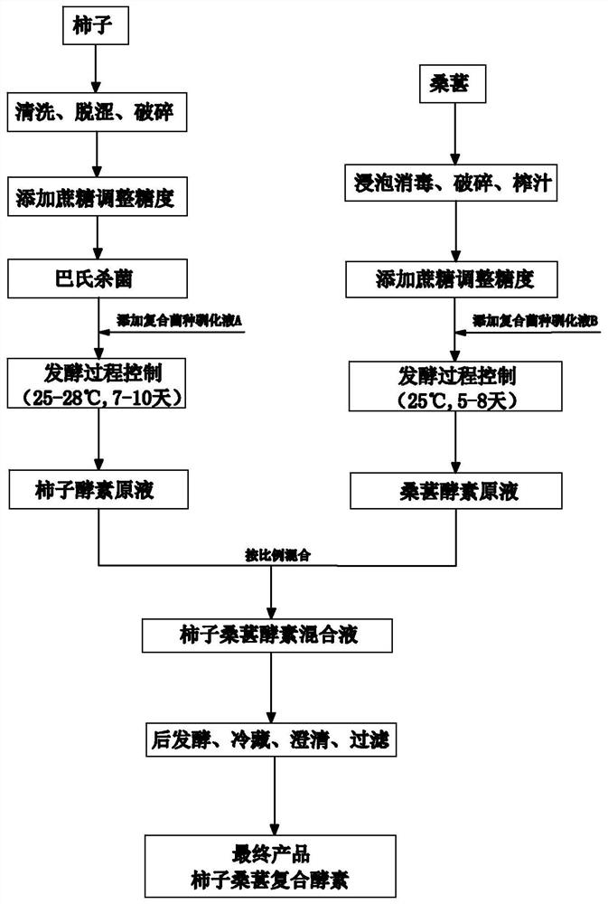 A kind of preparation method of persimmon mulberry compound enzyme