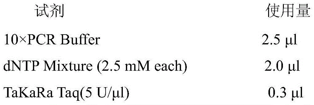 Sinilabeo rendahli DNA (deoxyribonucleic acid) bar code standard detection gene and application thereof