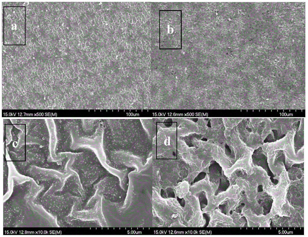 Method for preparing univalent selective cation exchange membrane by electrodeposition