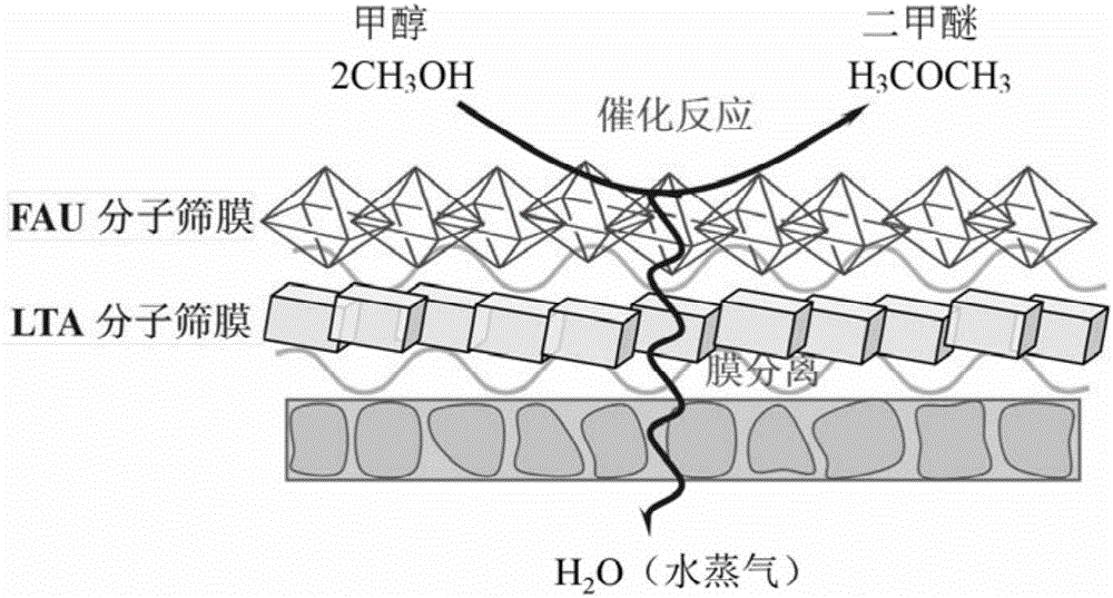 Reaction and separation difunctional catalytic membrane reaction device for catalyzing dehydration of methanol to prepare dimethyl ether, and application of reaction device