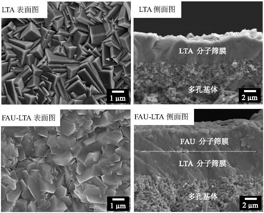 Reaction and separation difunctional catalytic membrane reaction device for catalyzing dehydration of methanol to prepare dimethyl ether, and application of reaction device