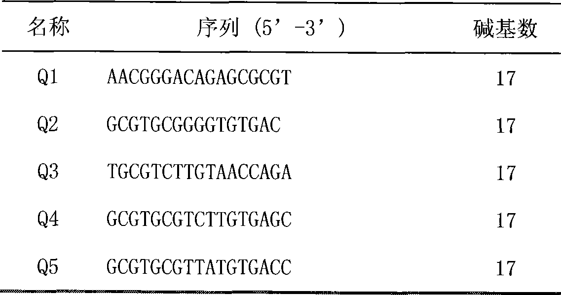 HLA-DQB1 gene typing DNA micro-array chip reagent kit