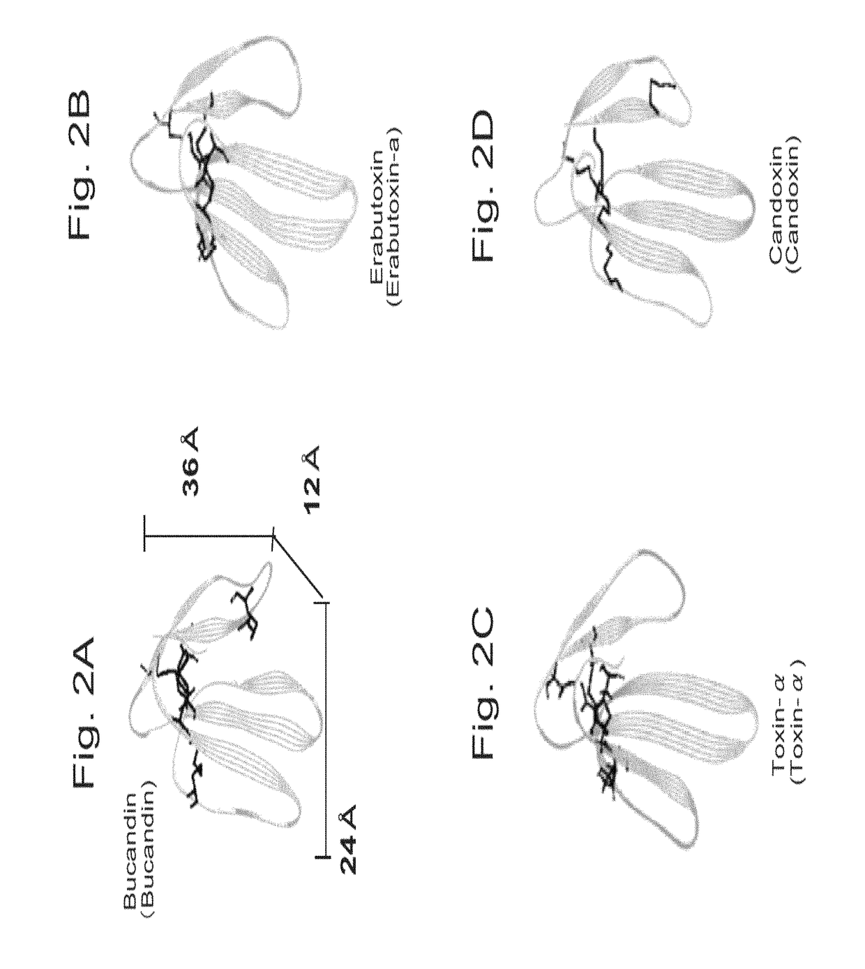 Ligand having three finger structure and a method for detecting a molecule by using thereof