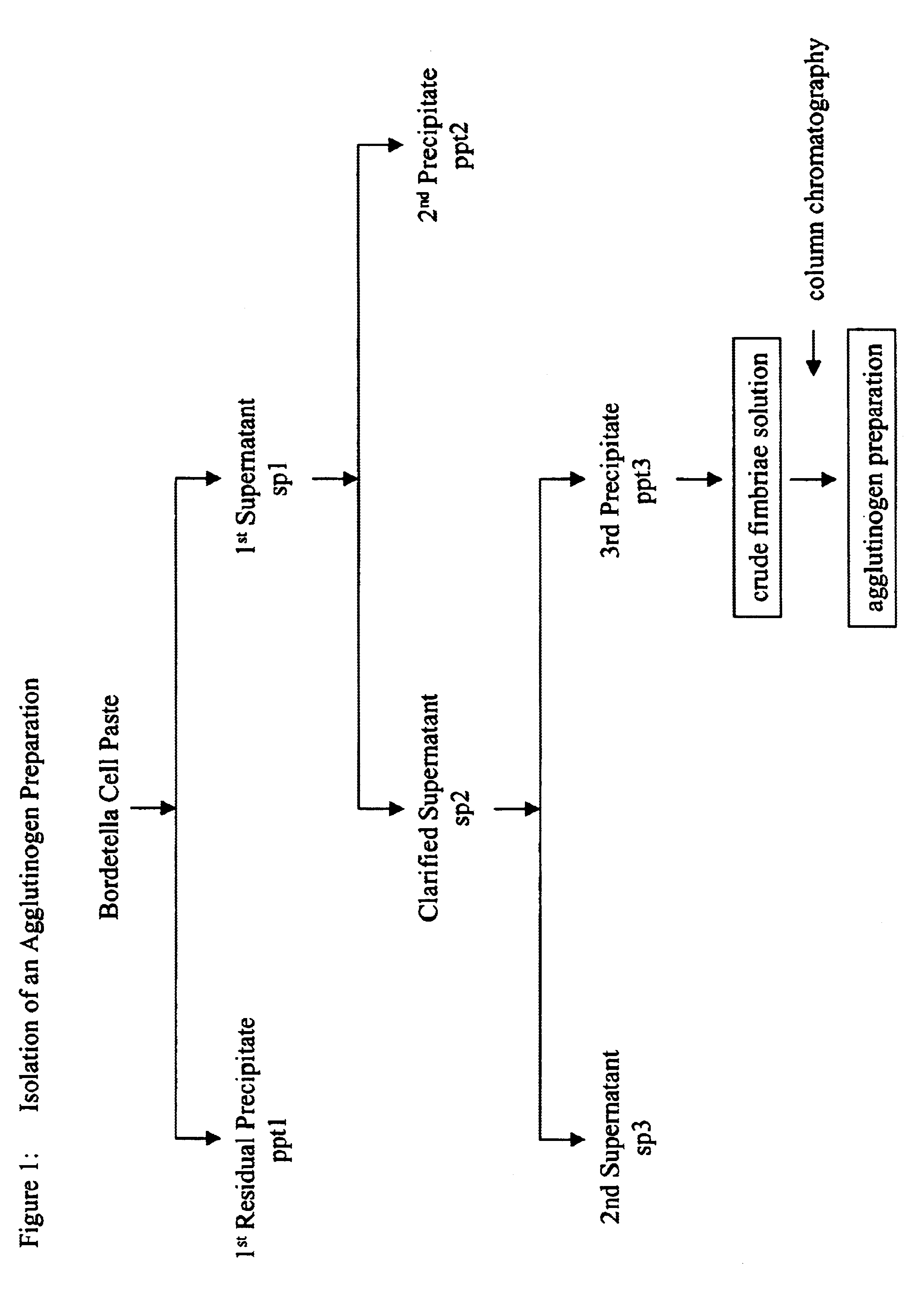 Acellular pertussis vaccines and methods of preparation thereof