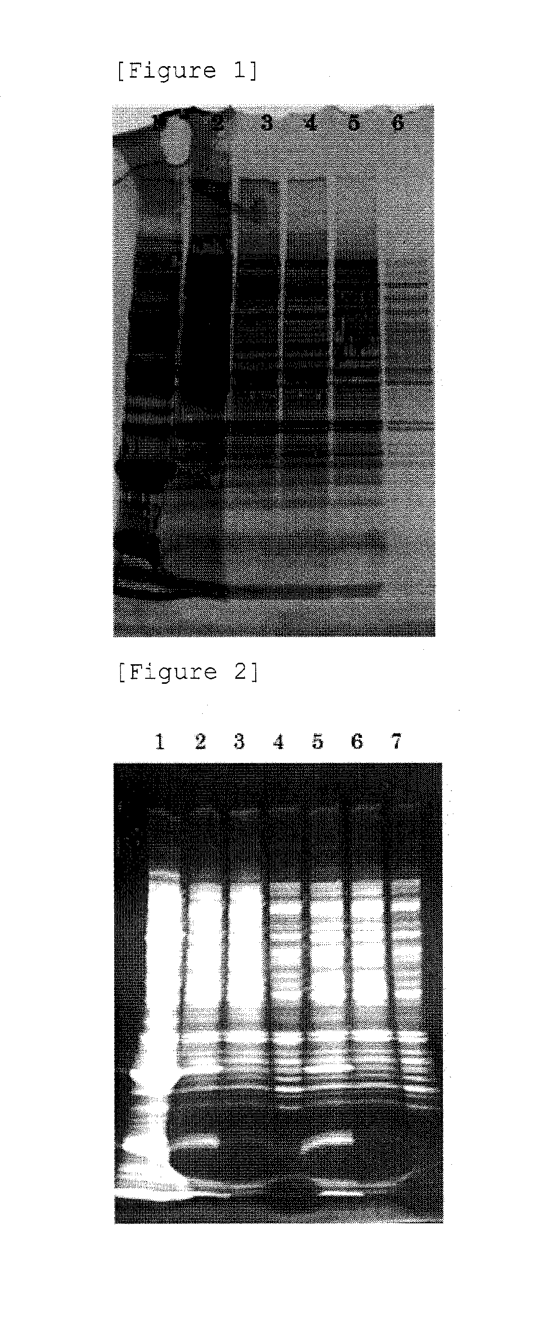 Production method for non-enveloped virus particles