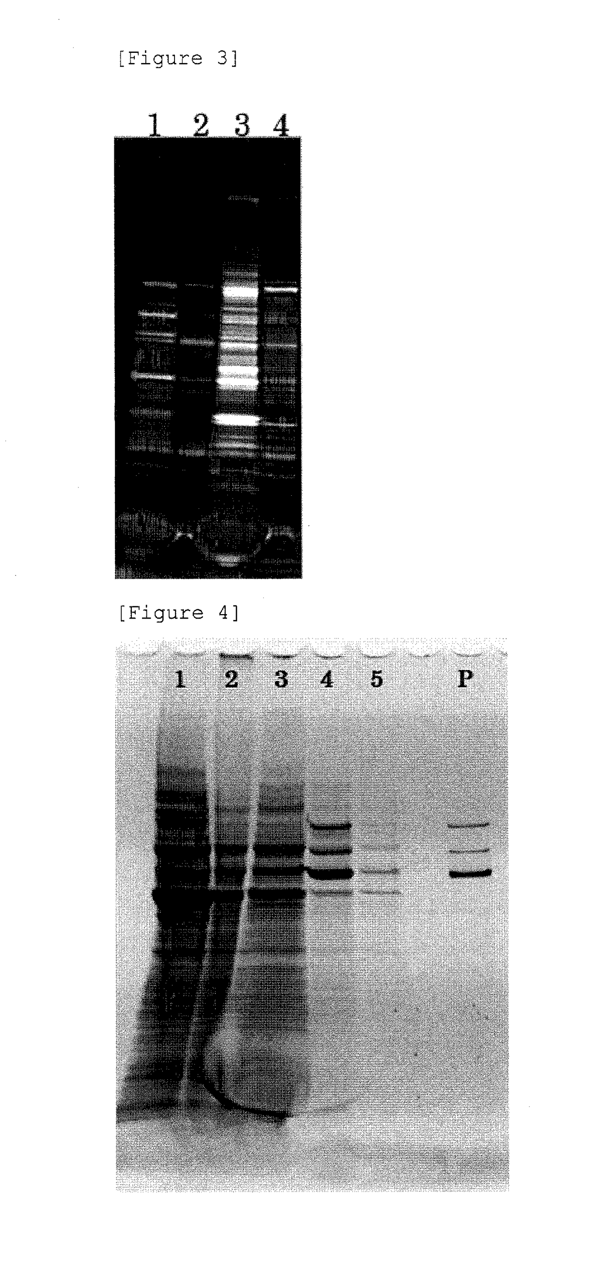 Production method for non-enveloped virus particles