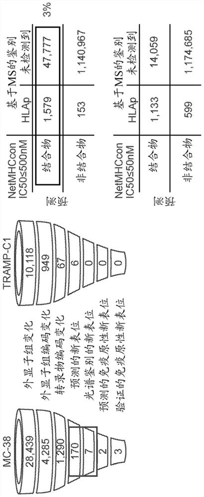 Identification of neo-antigens with mhc class ii model