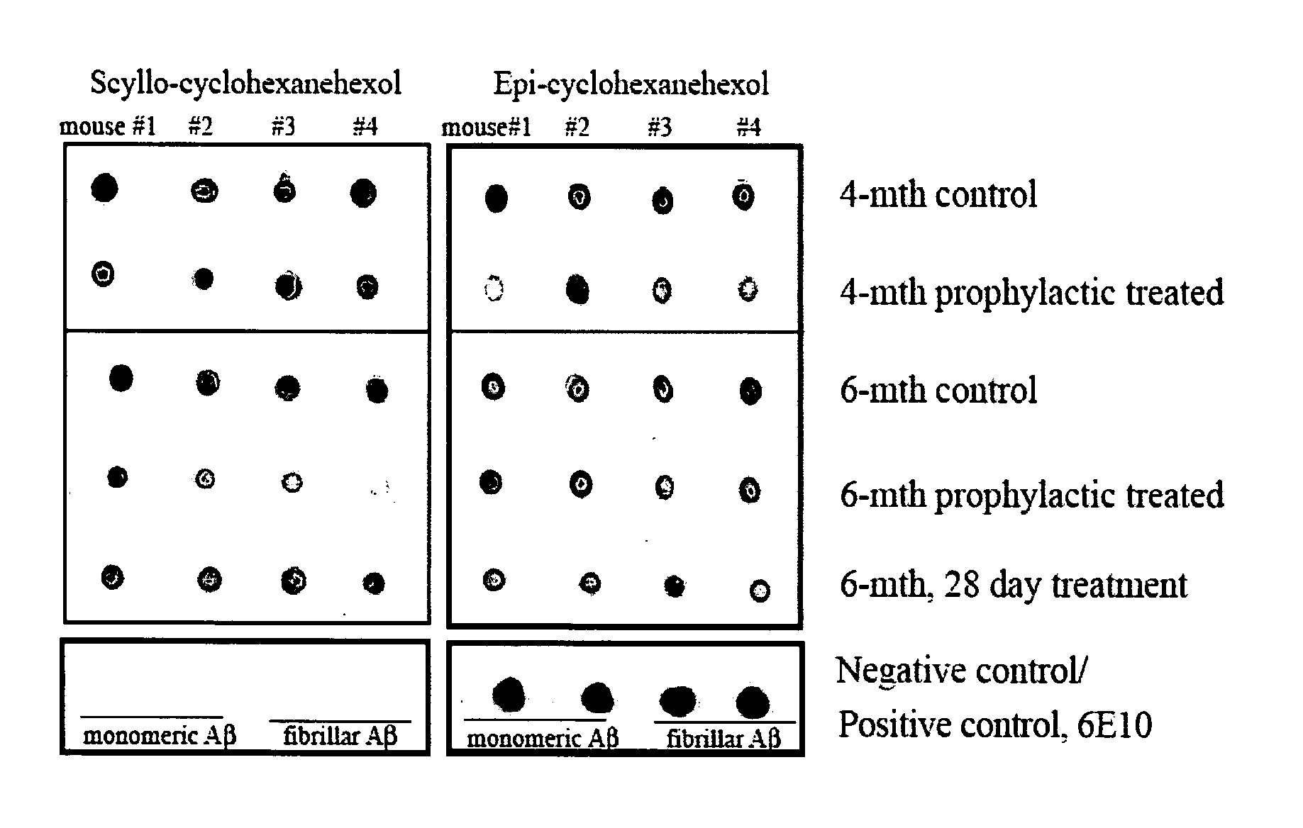 Compositions and methods for treatment of disorders of protein aggregation