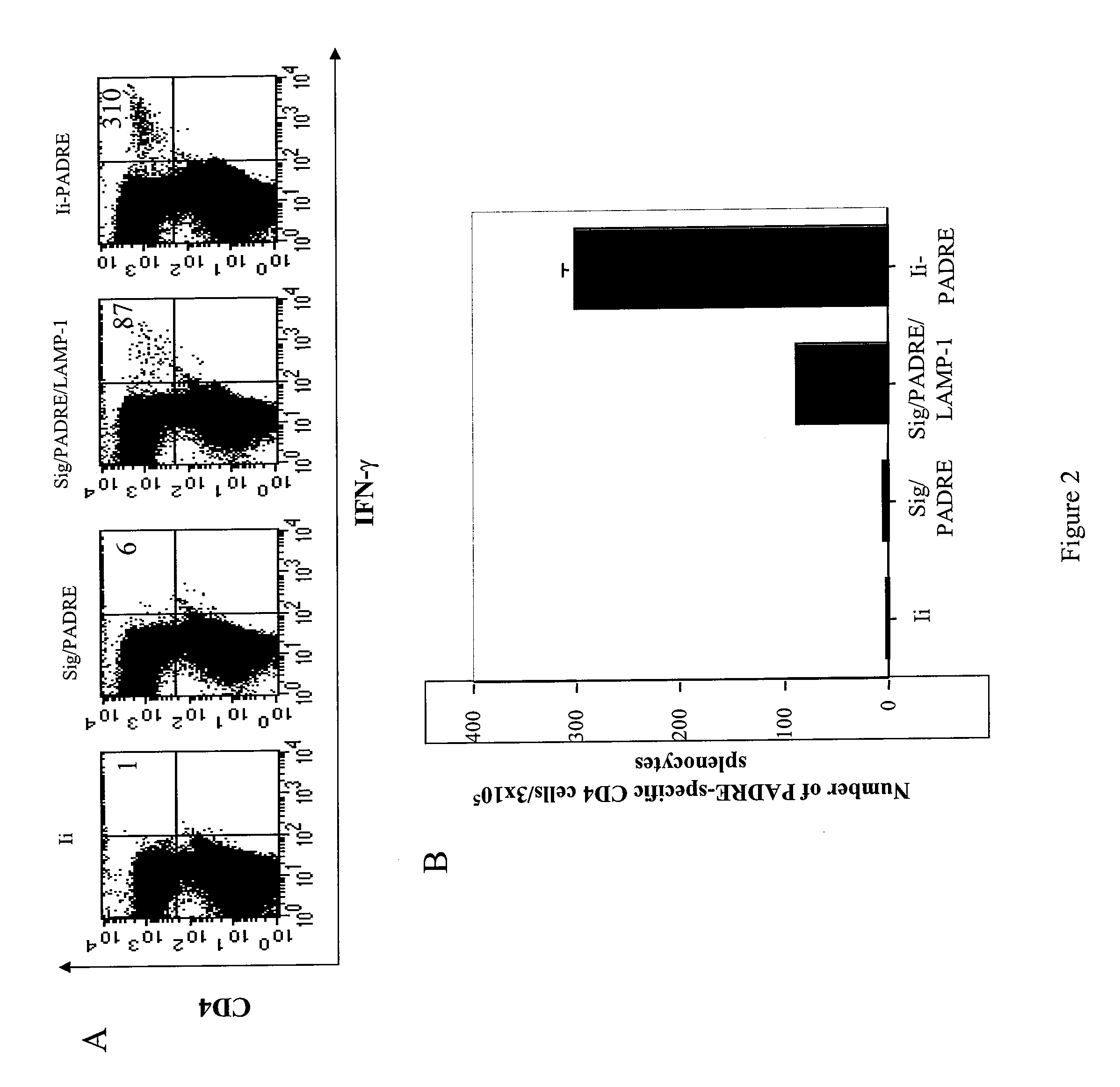 DNA Vaccine Enhancement with MHC Class II Activators