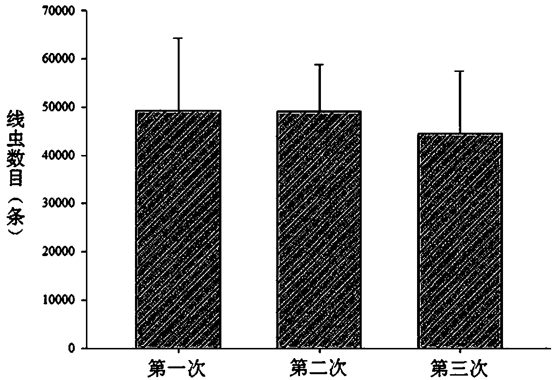 Method for rapid propagation and separation of pine wood nematodes