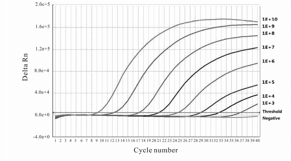 Fluorescence quantitative PCR (polymerase chain reaction) detection method of duck hepatitis B virus, and reagent