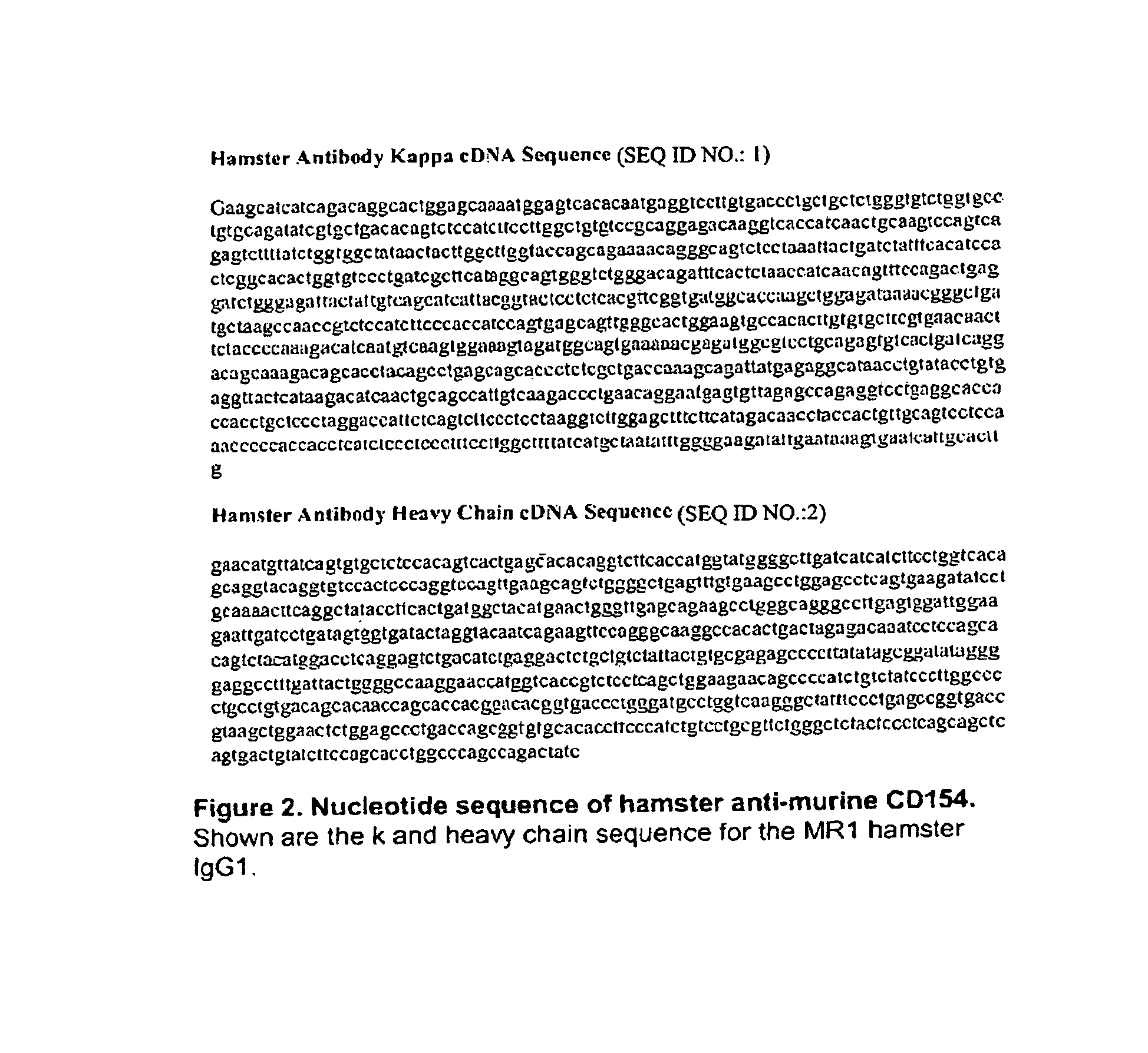 Methods of immune therapy with anti-CD154 antibodies having impaired FcR binding and/or complement binding properties