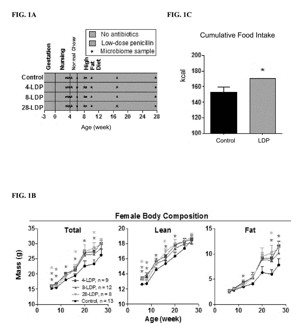 Probiotic compositions for improving metabolism and immunity