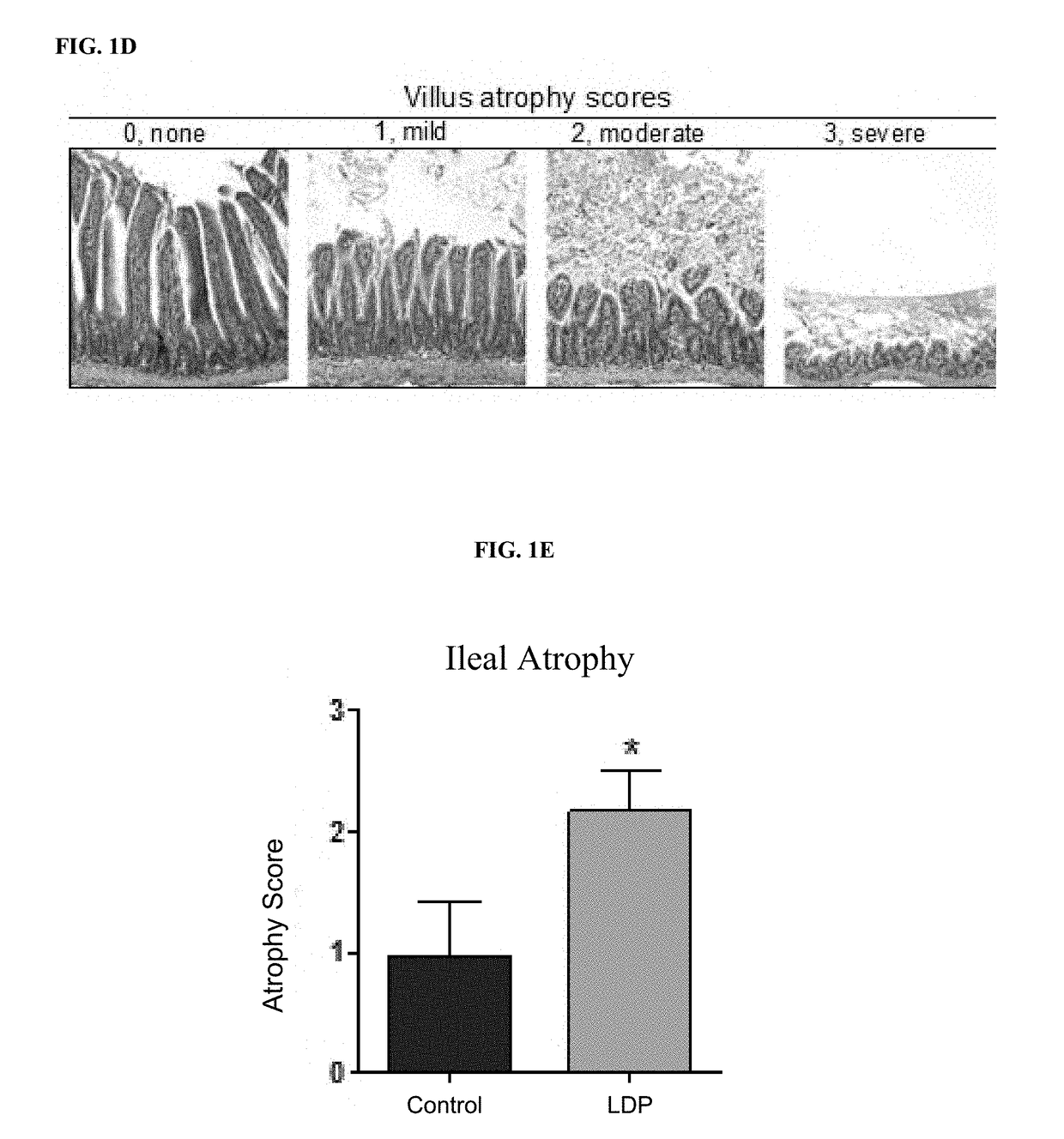 Probiotic compositions for improving metabolism and immunity