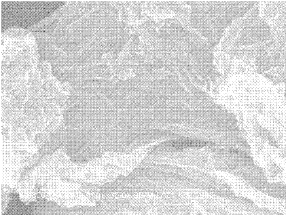 Preparation method of nitrogen-doped graphene electrode