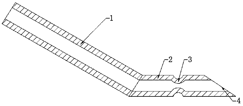 Fixing needle for mouse embryo amnion cavity microinjection and preparing method thereof