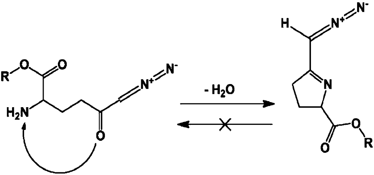 Prodrugs of glutamine analogs