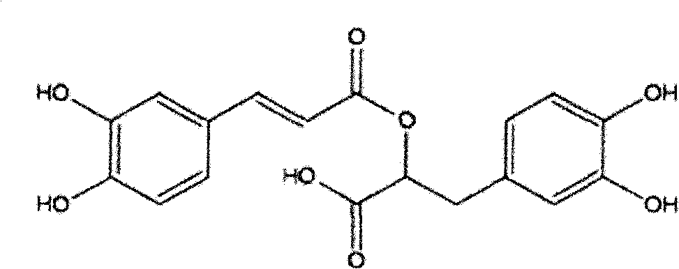 Preparation process of rosmarinic acid