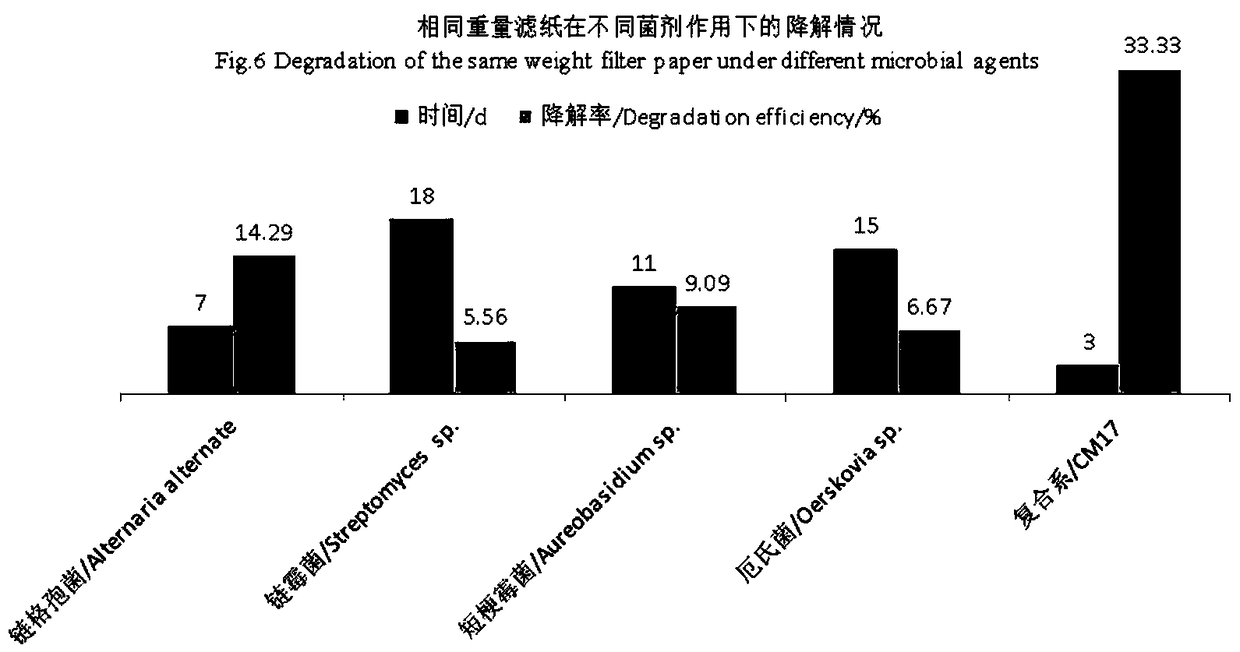 Cellulose degrading bacteria compound system