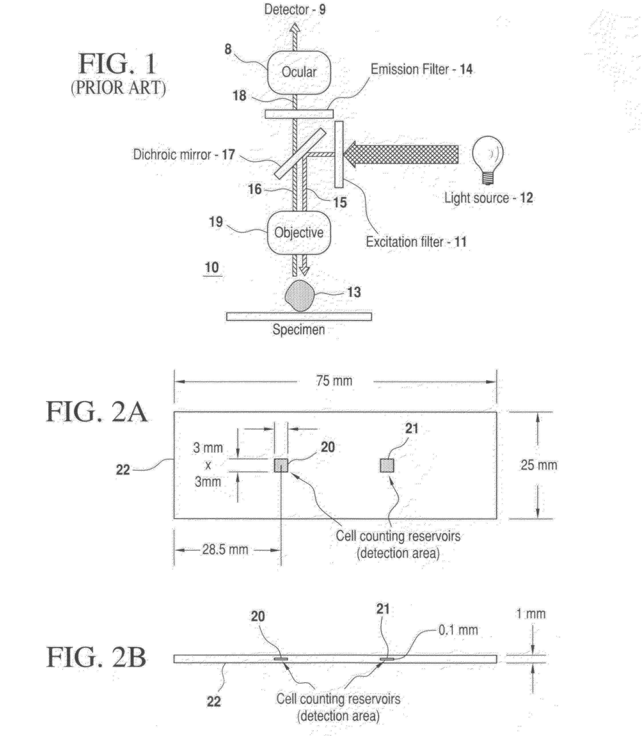 Compact portable apparatus for optical assay