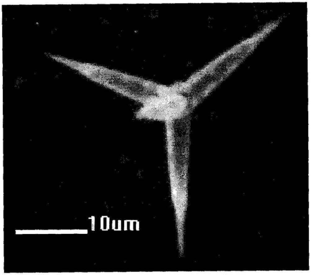 A multi-layer radar absorbing coating