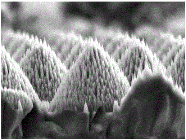 Nanometer/micrometer composite graphical sapphire substrate and preparation method thereof