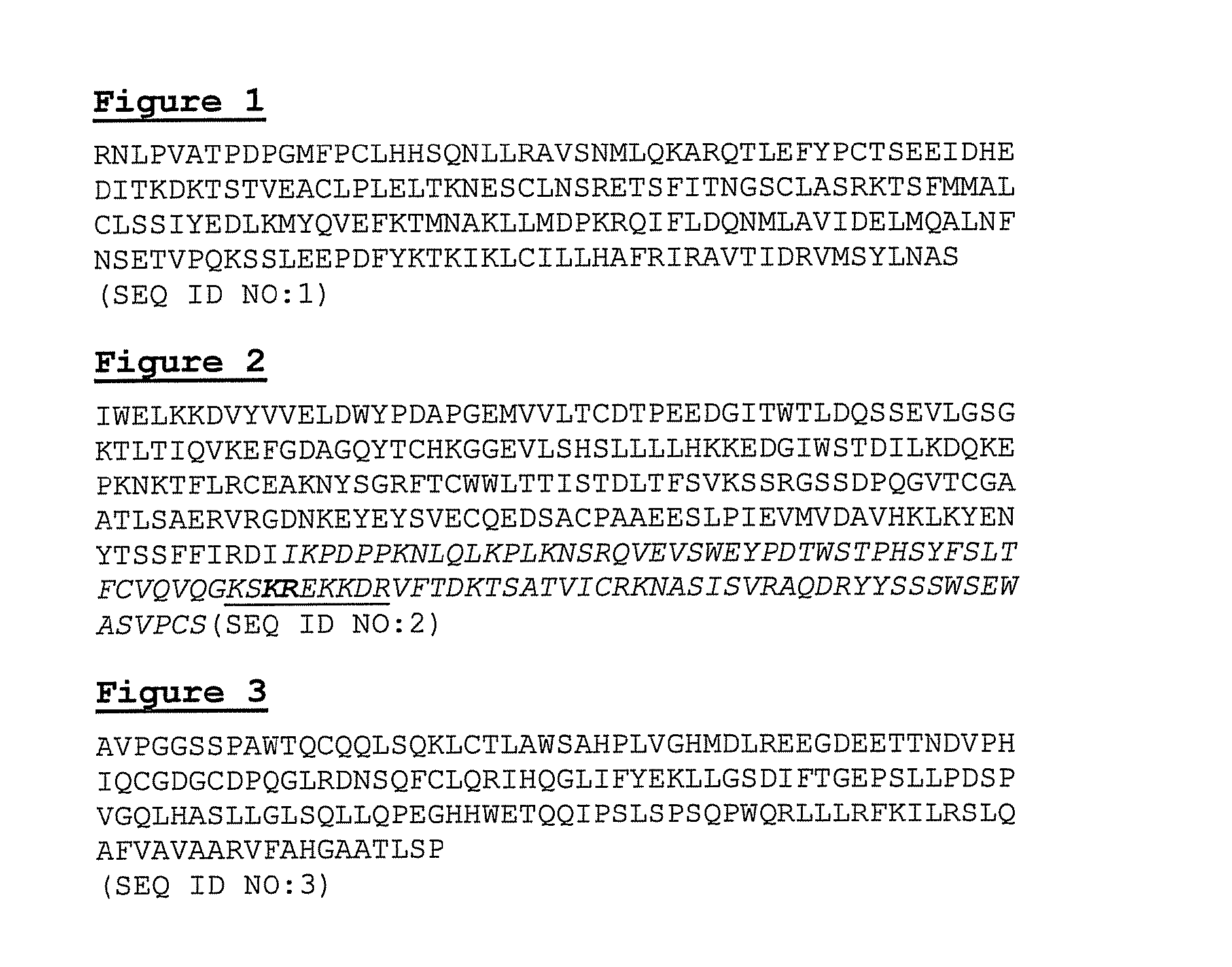 Interleukin-12p40 variants with improved stability